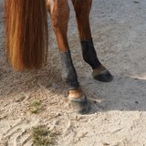 EquineSleeve® Vented Pairs46539c_black.jpg image