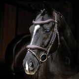 LeMieux® Kudos Contour Flash Bridle47595_brown.jpg image