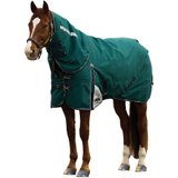 Weatherbeeta Comfitec Plus Dynamic Detach-A-Neck 0G Turnout Blanket47926_forestgreen.jpg image