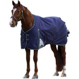 Weatherbeeta Comfitec Plus Dynamic Standard Neck 100G Turnout Blanket47929_navy.jpg image