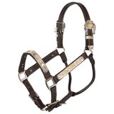 Phoenix Silver Show Halter with Lead - Lightly Blemished48197_darkoil.jpg image