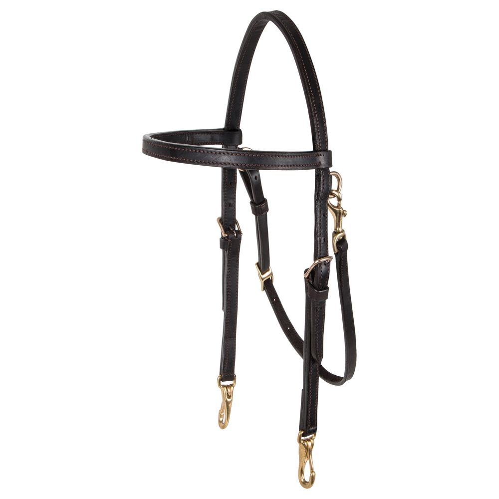 Double S Arabian Training Bridle