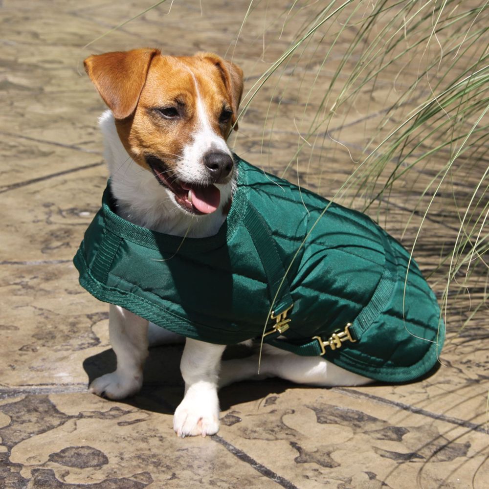 Dura-Tech® Channel Quilted Dog Coat - LG, XL