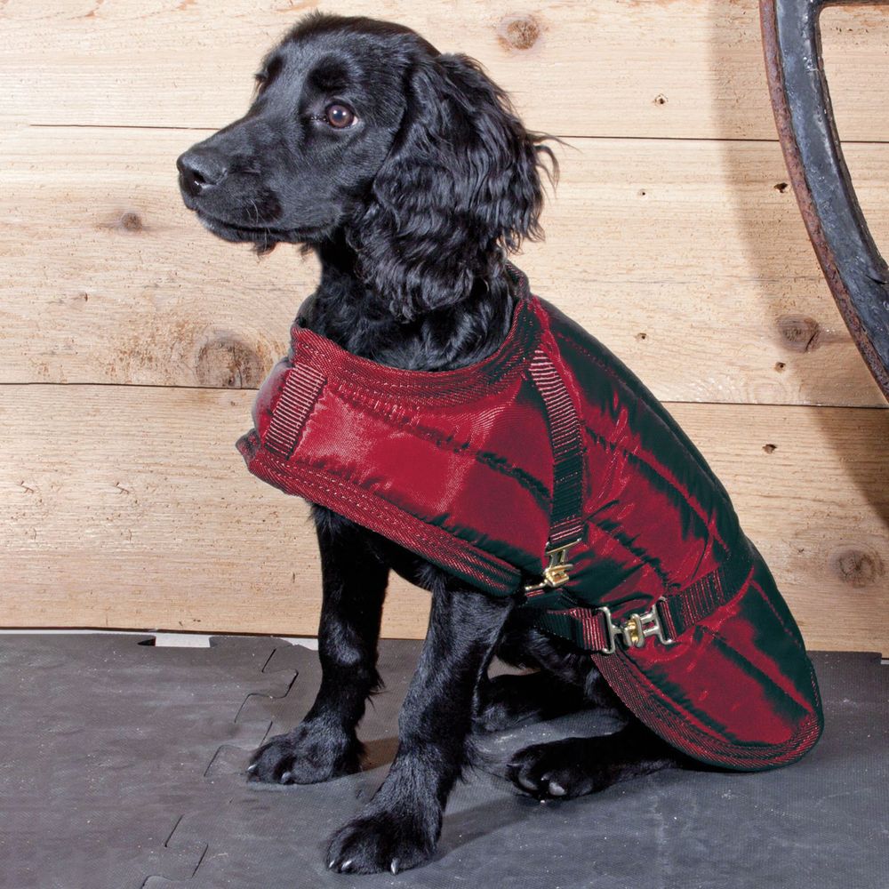 Dura-Tech® Channel Quilted Dog Coat - LG, XL