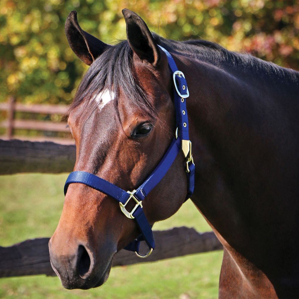 Dura-Tech® Supreme Triple Ply Nylon Halter with Brass Grommets