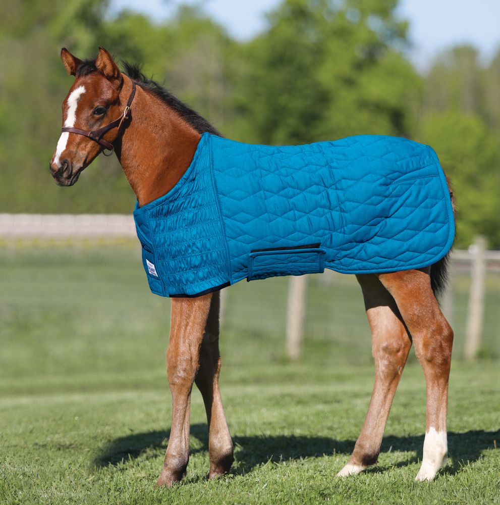 UltraFlex® Foal Saver®