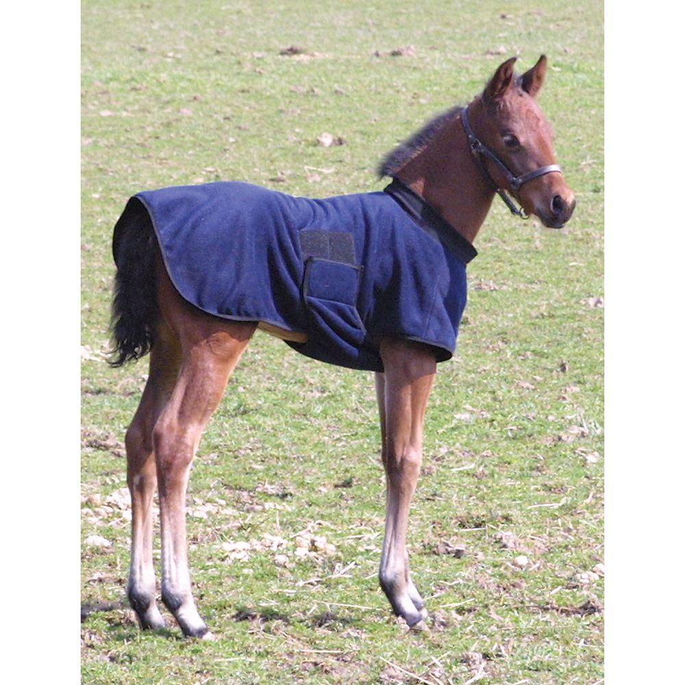 Fleece Foal Warmer