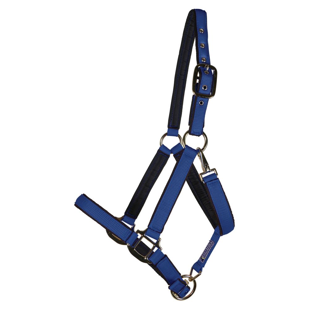Dura-Tech® Deluxe Fully Padded Nylon Halter