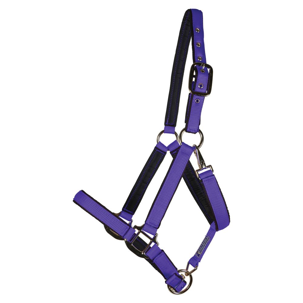 Dura-Tech® Deluxe Fully Padded Nylon Halter