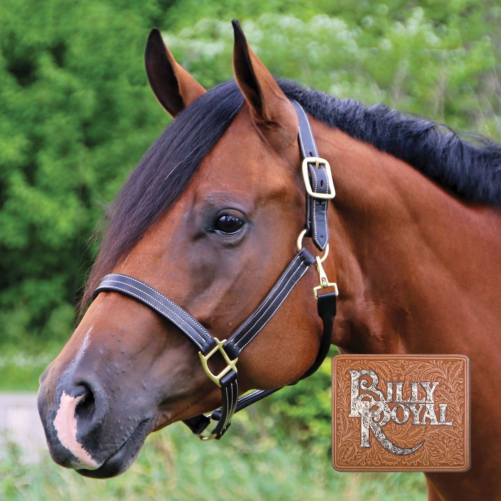 Billy Royal® Keeneland Deluxe Leather Halter