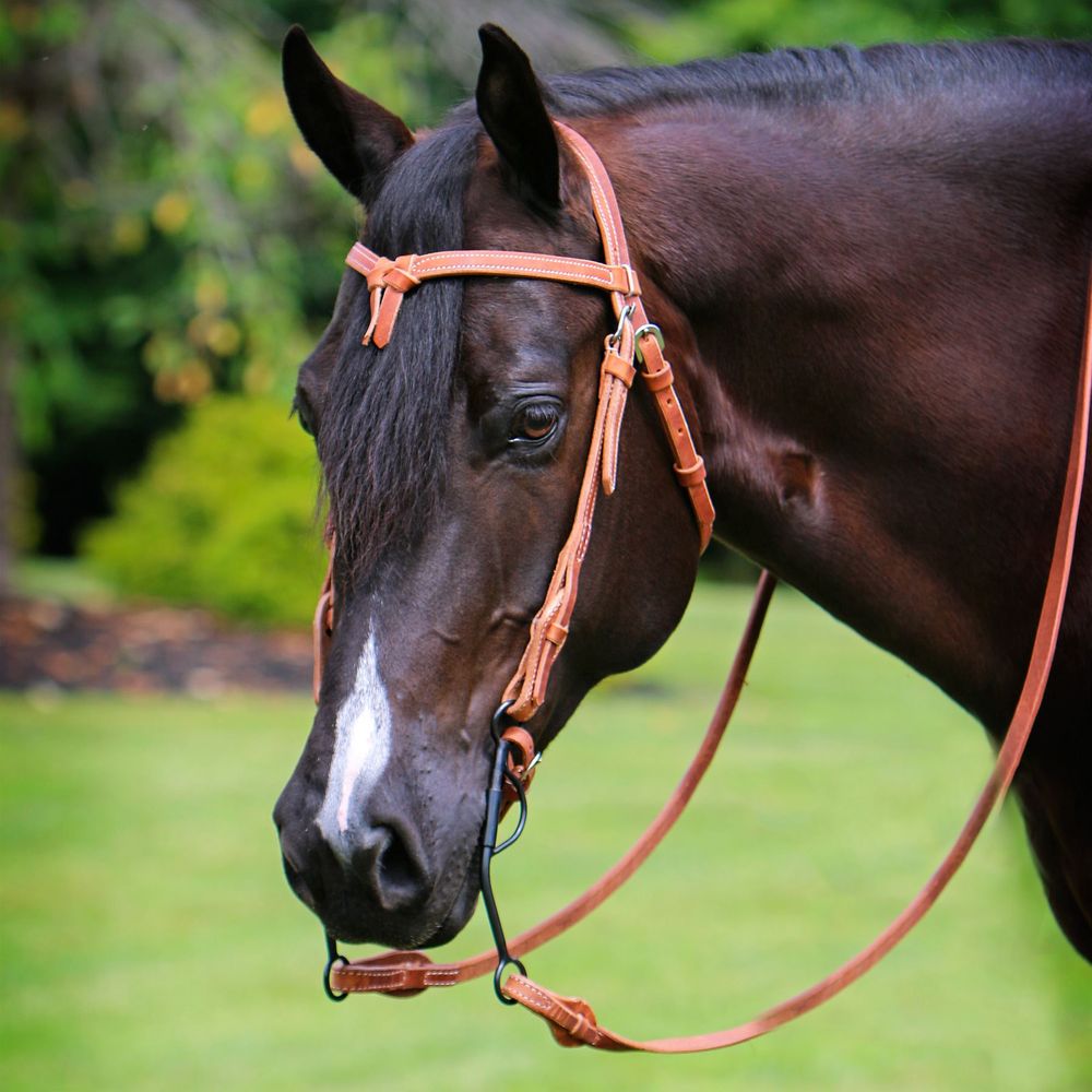 Billy Royal® Harness Leather Quick Change Bridle