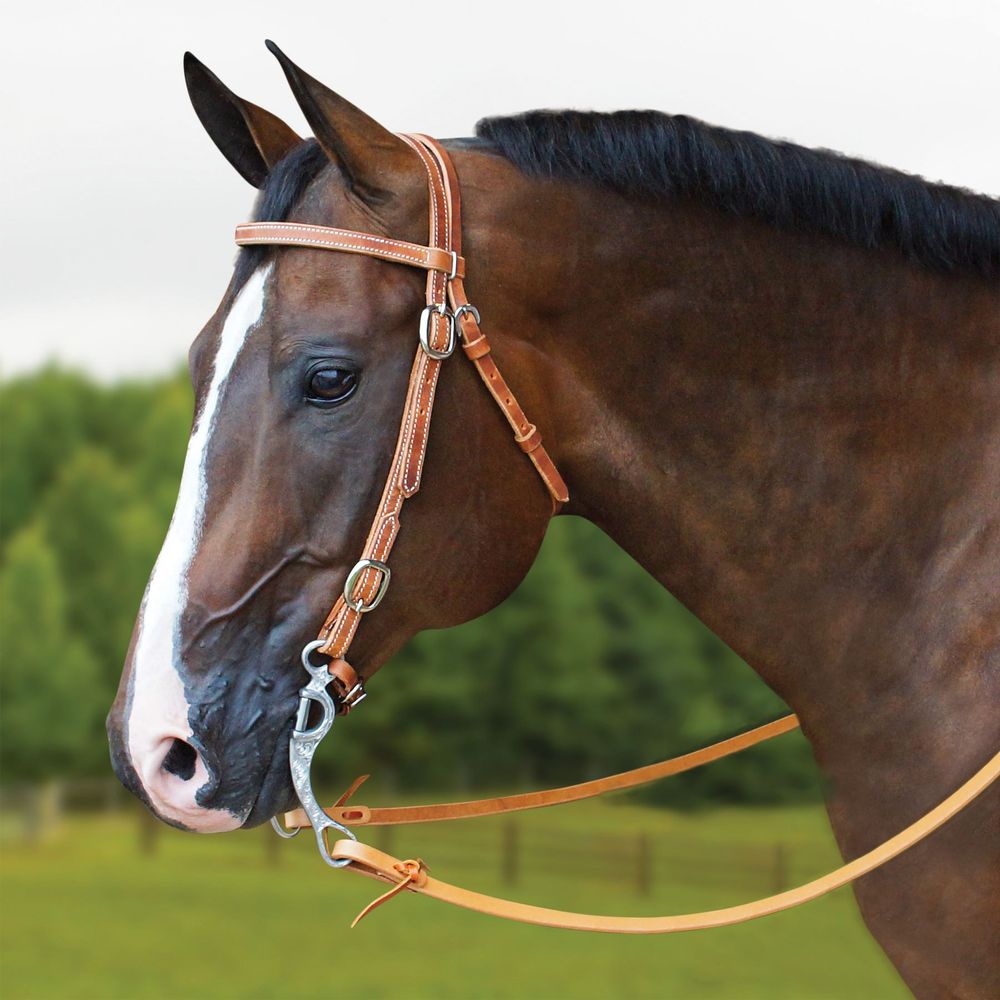 Billy Royal® Oval Buckle Browband Bridle