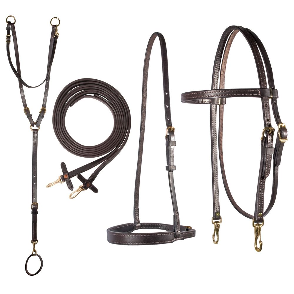 Billy Royal® Arabian Training Tack Package