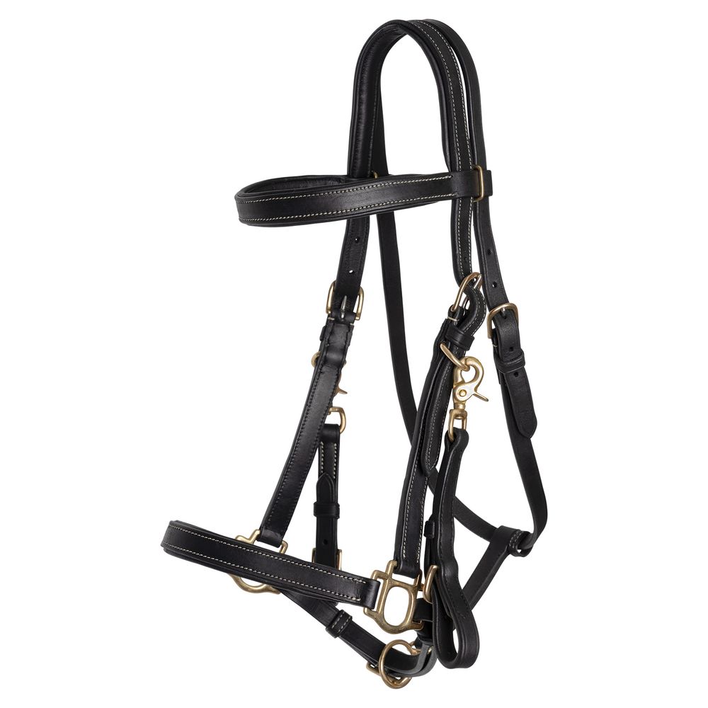 Billy Royal® Deluxe Trail Halter Bridle Combo