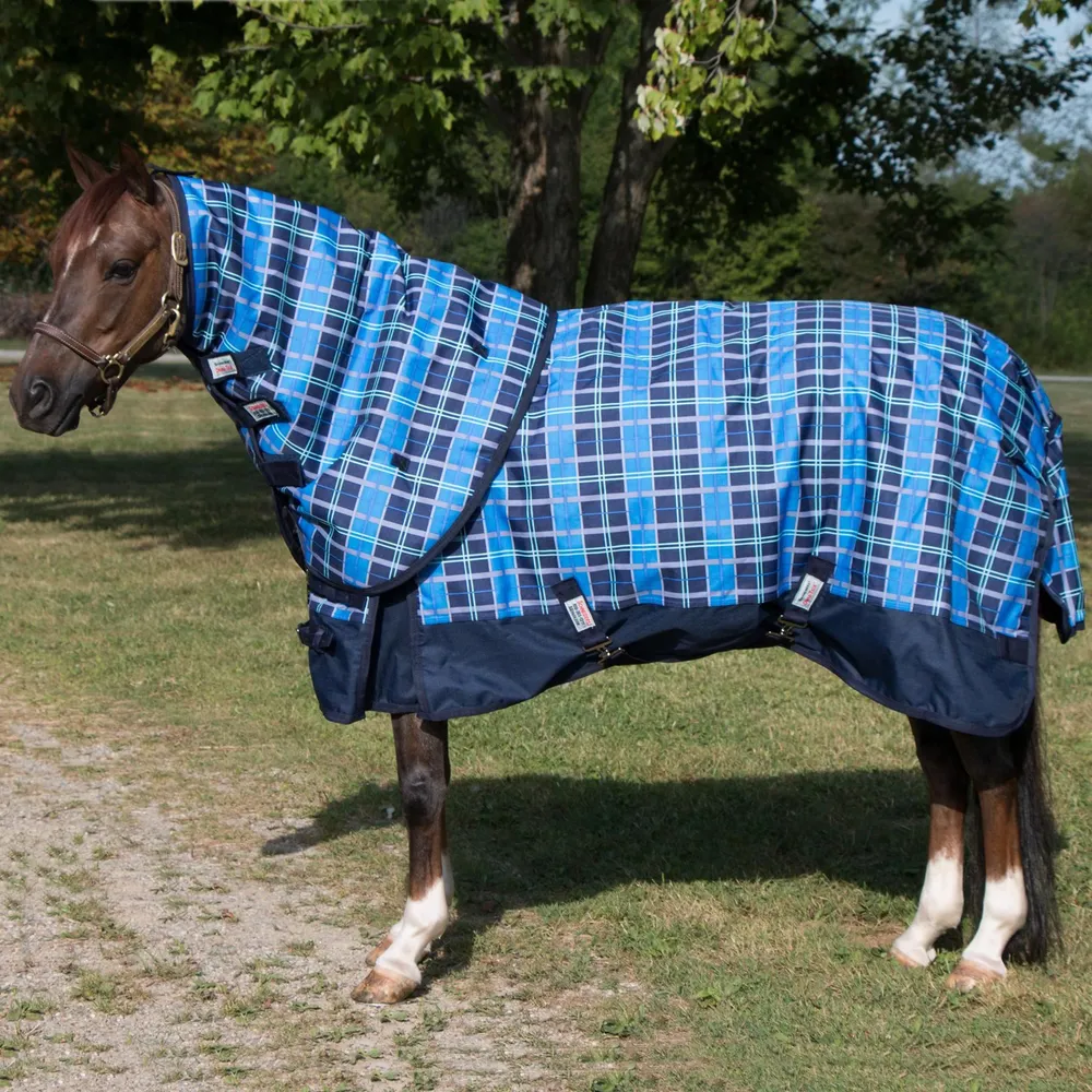 Tappeti Neri - Tanti Modelli In Vendita Online | Westwing - Foto 5