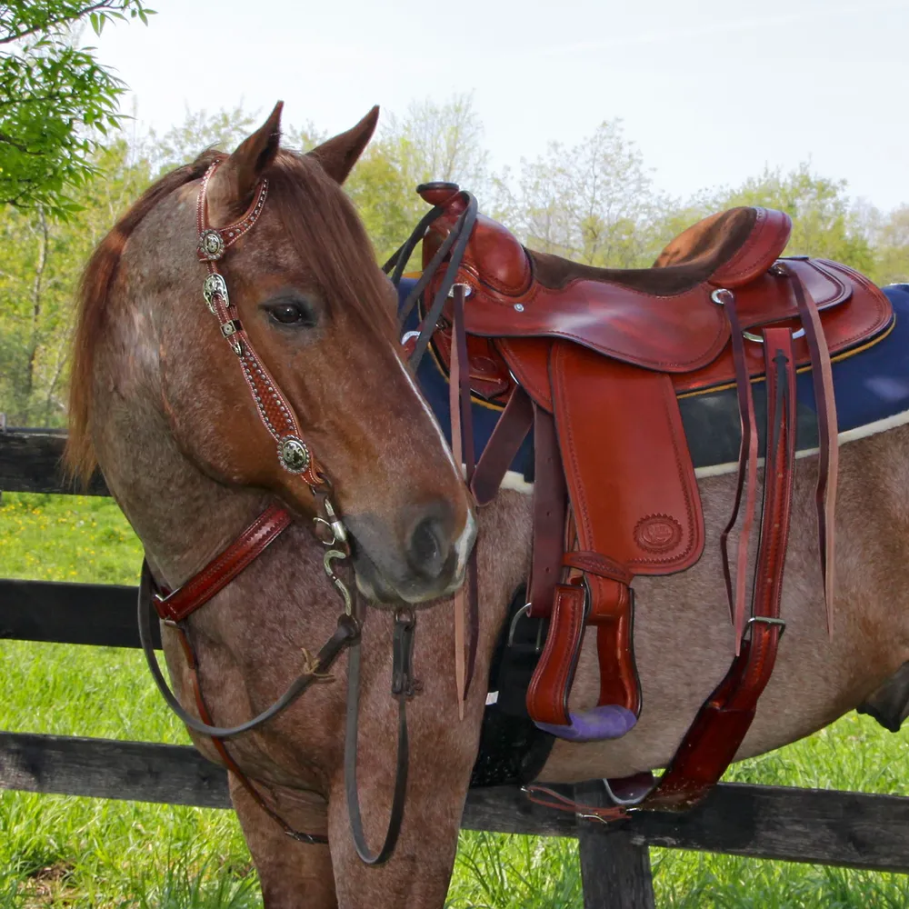 Billy Royal® Ranch Horse Pleasure Saddle | Schneiders