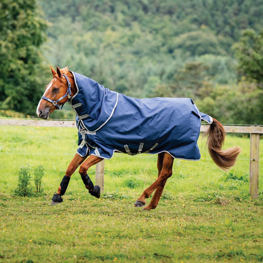 Amigo® Bravo 12 Plus Heavyweight Turnout Blanket
