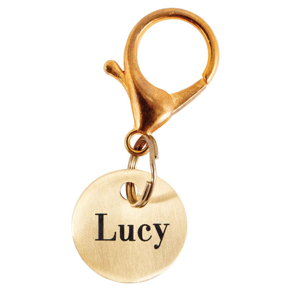 Bridle & Halter Name Tag 1" Disc with Snap