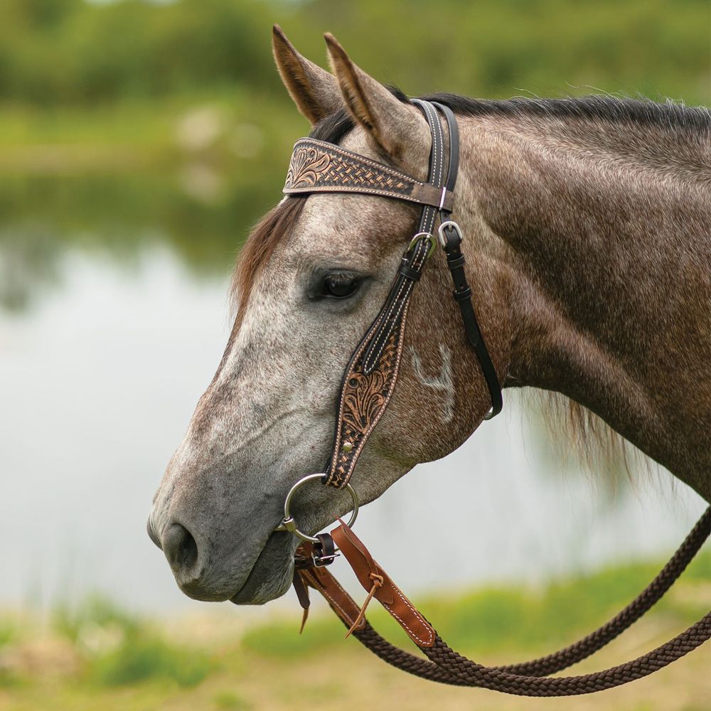 Double S Reno Browband Headstall