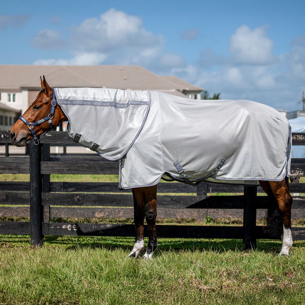 Horseware® Amigo® XL Bug Rug Plus Fly Sheet | Schneiders
