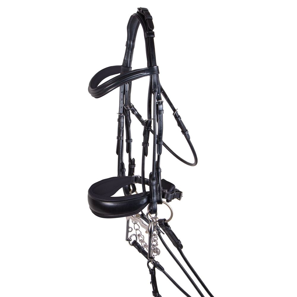 Pinnacle Dressage Double Bridle