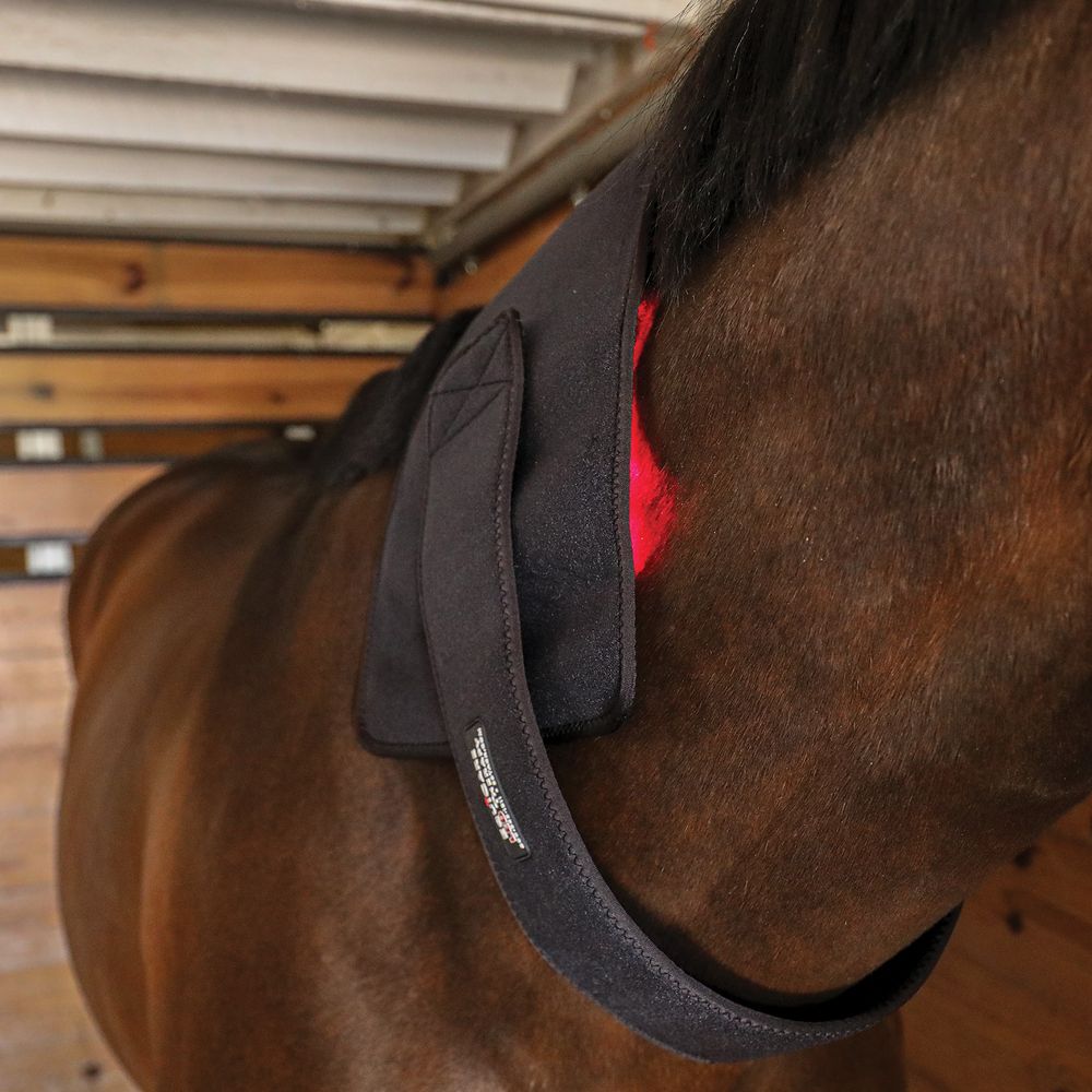 Equicare Led Therapy™ Xl Wrap - Single