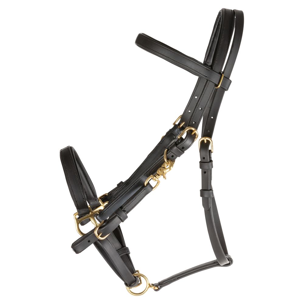 Dura-Tech® All Weather Halter/Bridle Combo
