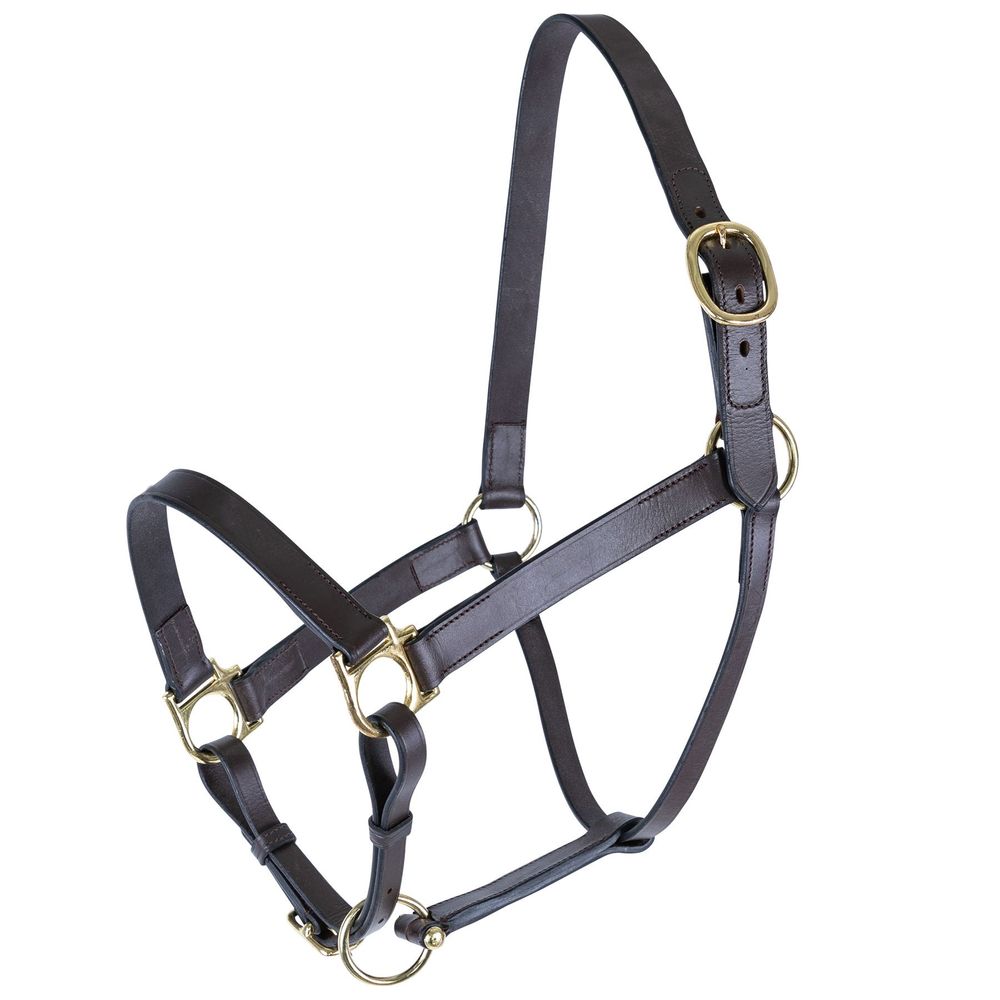 Premier Lancaster Fixed Throat Leather Halter