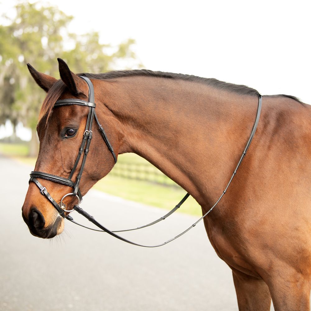 Schneiders Specialty Black Crystal Dressage Bridle