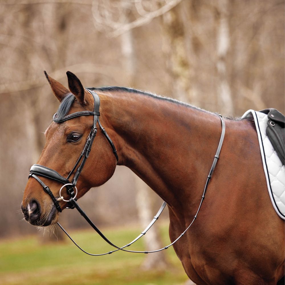 Schneiders® Black Crystal Browband Dressage Bridle