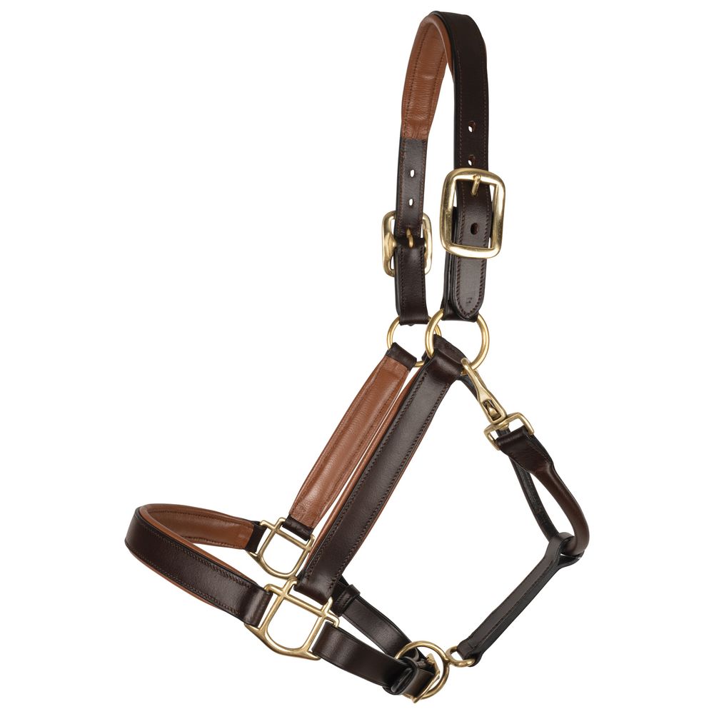 Schneiders® Double Stitch Contrast Color Padded Leather Halter