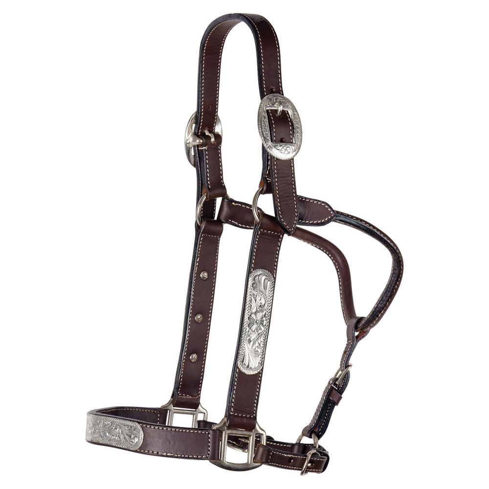 Double S Simply Silver Show Halter w/Lead