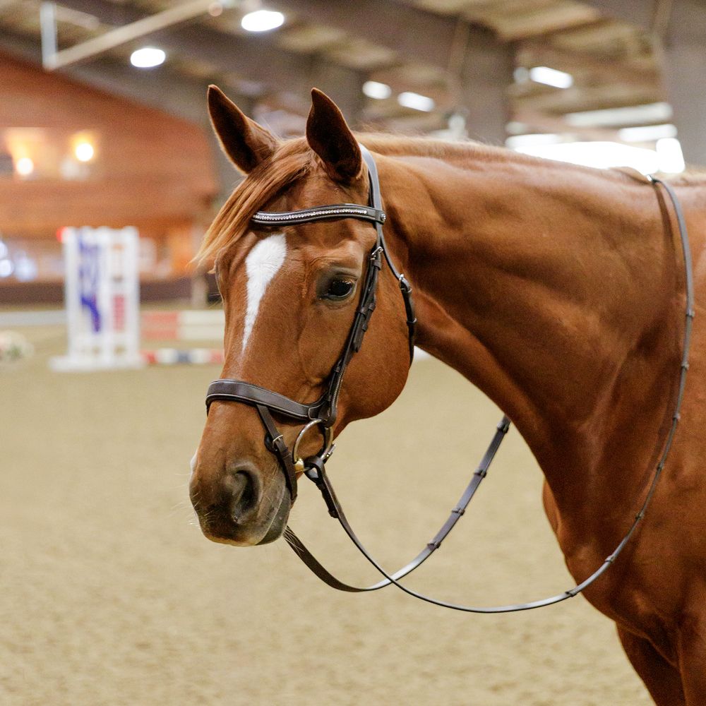 Schneiders® Ergonomic Flash English Bridle with Clear Crystal Browband