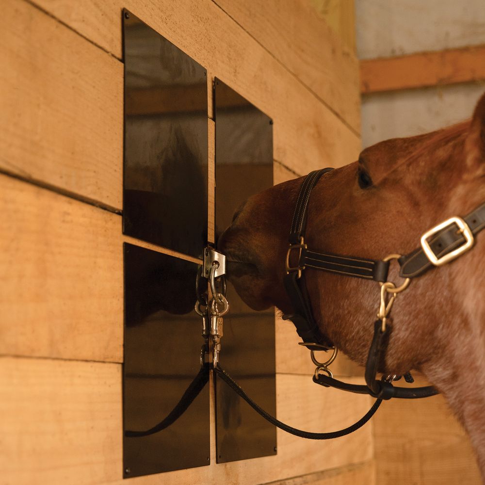 Schneiders® Easy-Up® 12' x 12 Metal Wall Plate Chew Guards - Set of 4