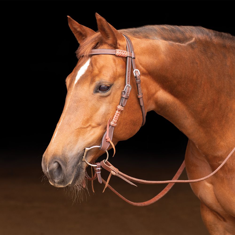 Schneiders® Browband Headstall with Chocolate Rawhide Accents