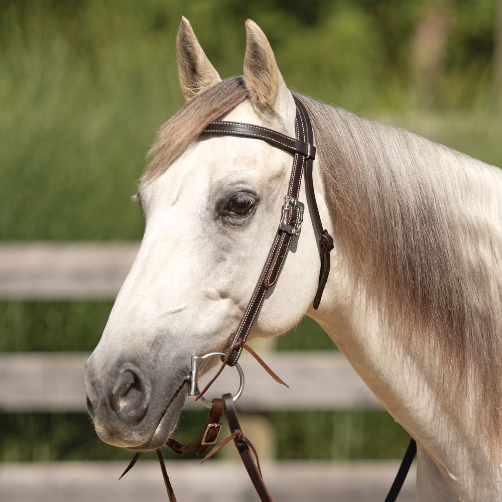 Billy Royal® Canyon Ridge Browband Ranch Headstall | Schneiders