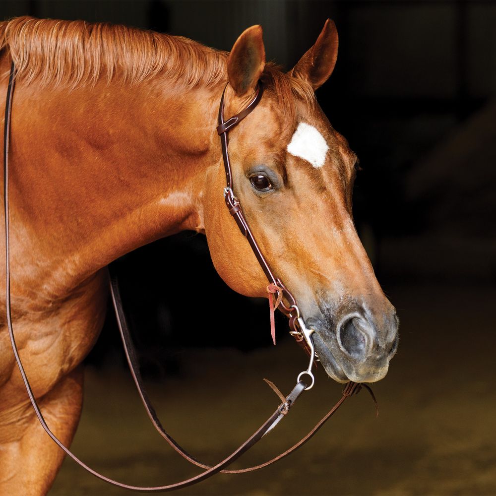 Schneiders® One Ear Latigo Leather Headstall with Tie Ends