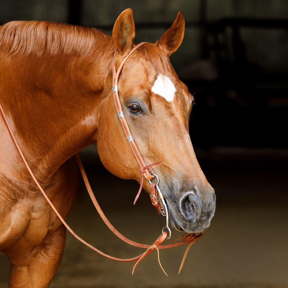 Schneiders® Split Ear Silver Show Headstall