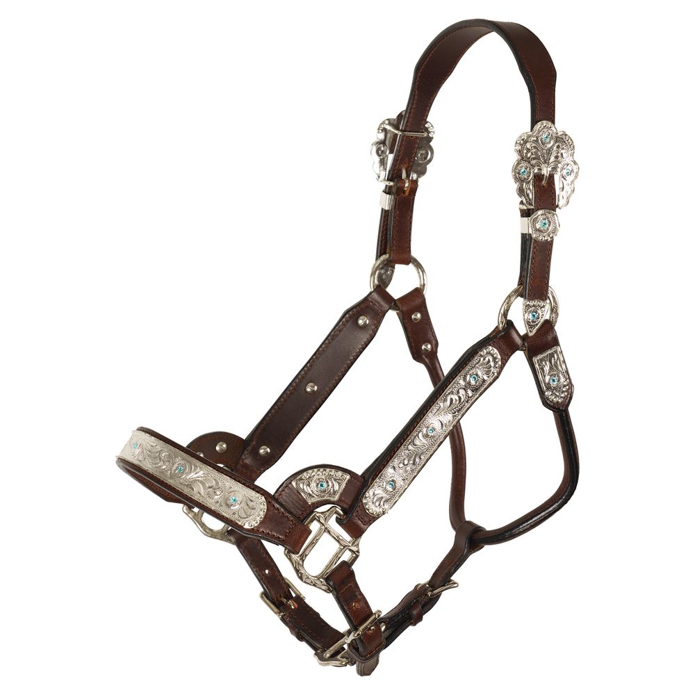 Schneiders® Dixie II Show Halter with Lead