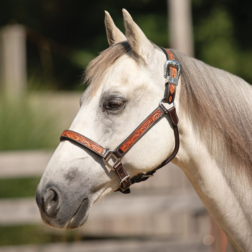 Schneiders® McKenzie Padded Leather Ranch Halter