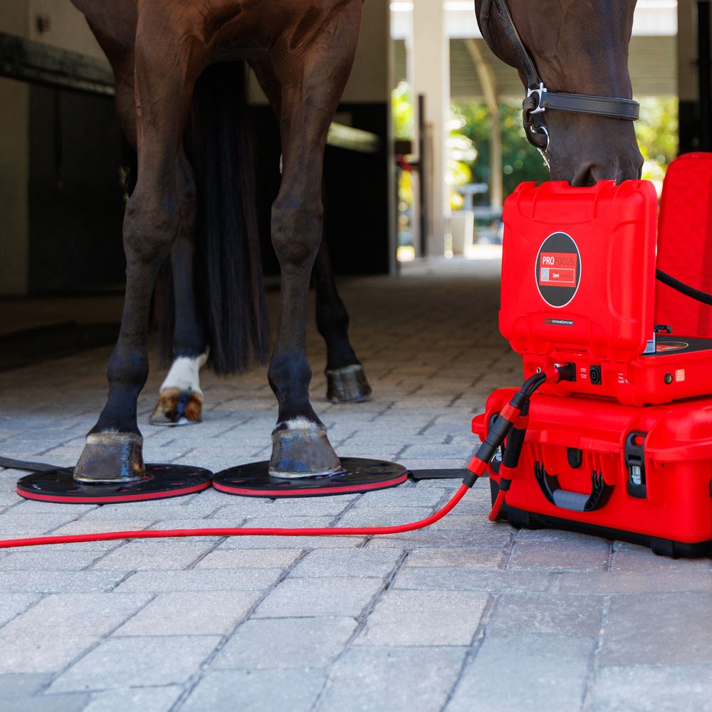 Sport Innovations ProFocus PEMF Hoof Plates
