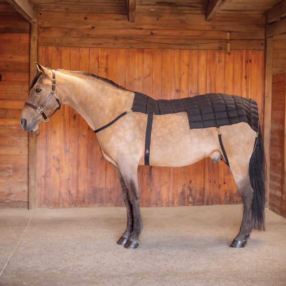 Schneiders® Back and Hip Cooling Gel Pad II