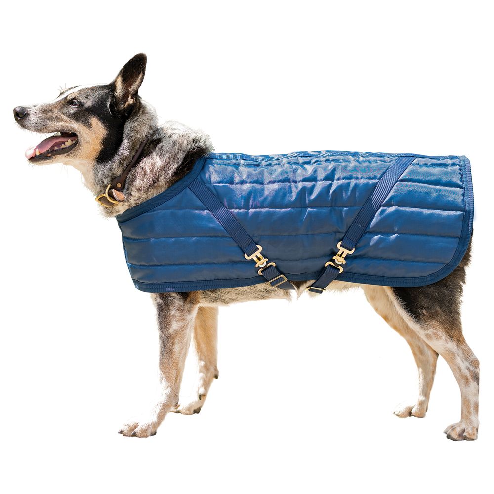 Schneiders® Quilted Lightweight Dog Coat