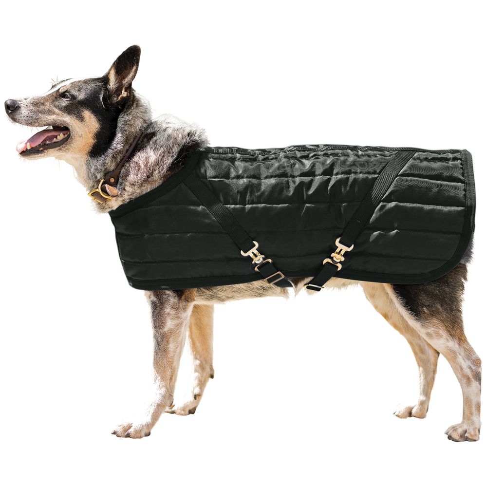 Schneiders® Quilted Lightweight Dog Coat - Small Dogs