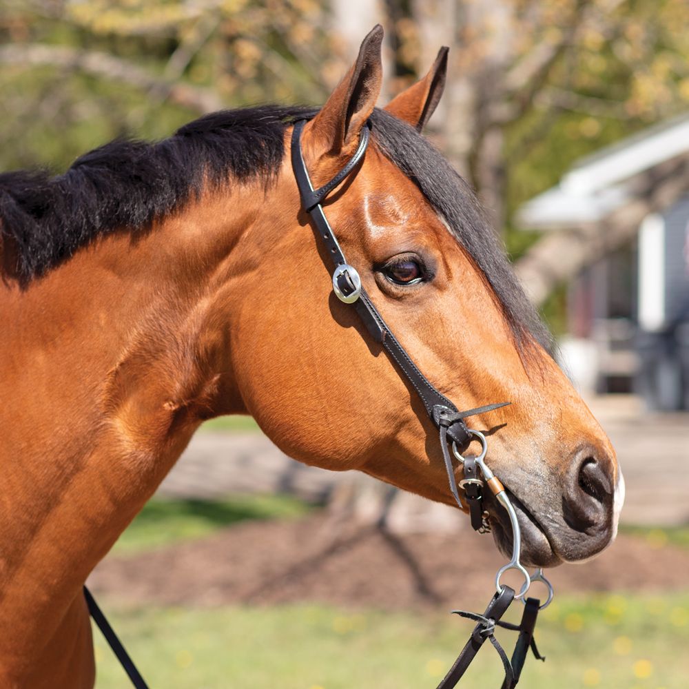 Billy Royal® Black Leather Rolled One Ear Headstall