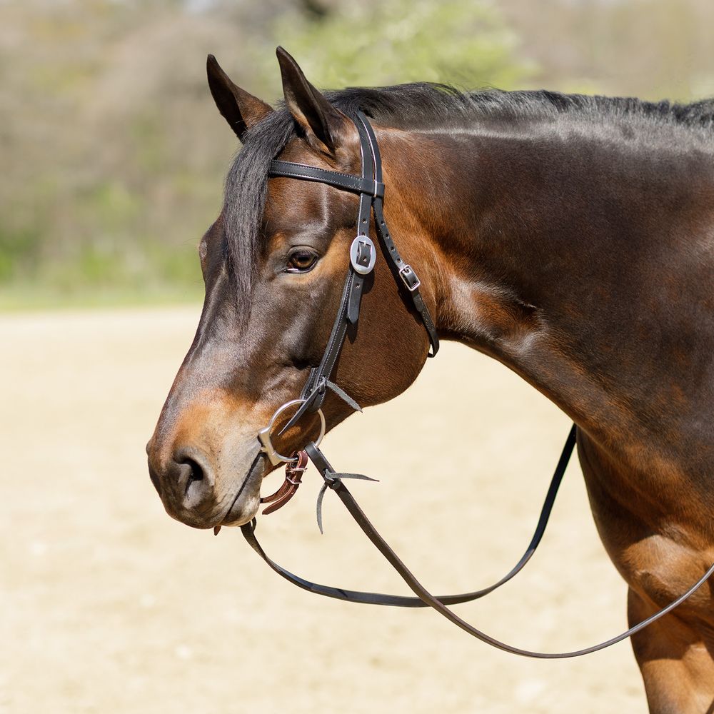 Billy Royal® Black Leather Browband Headstall