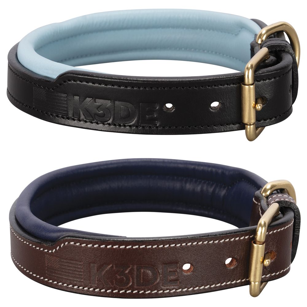 K3DE Padded Leather Dog Collar