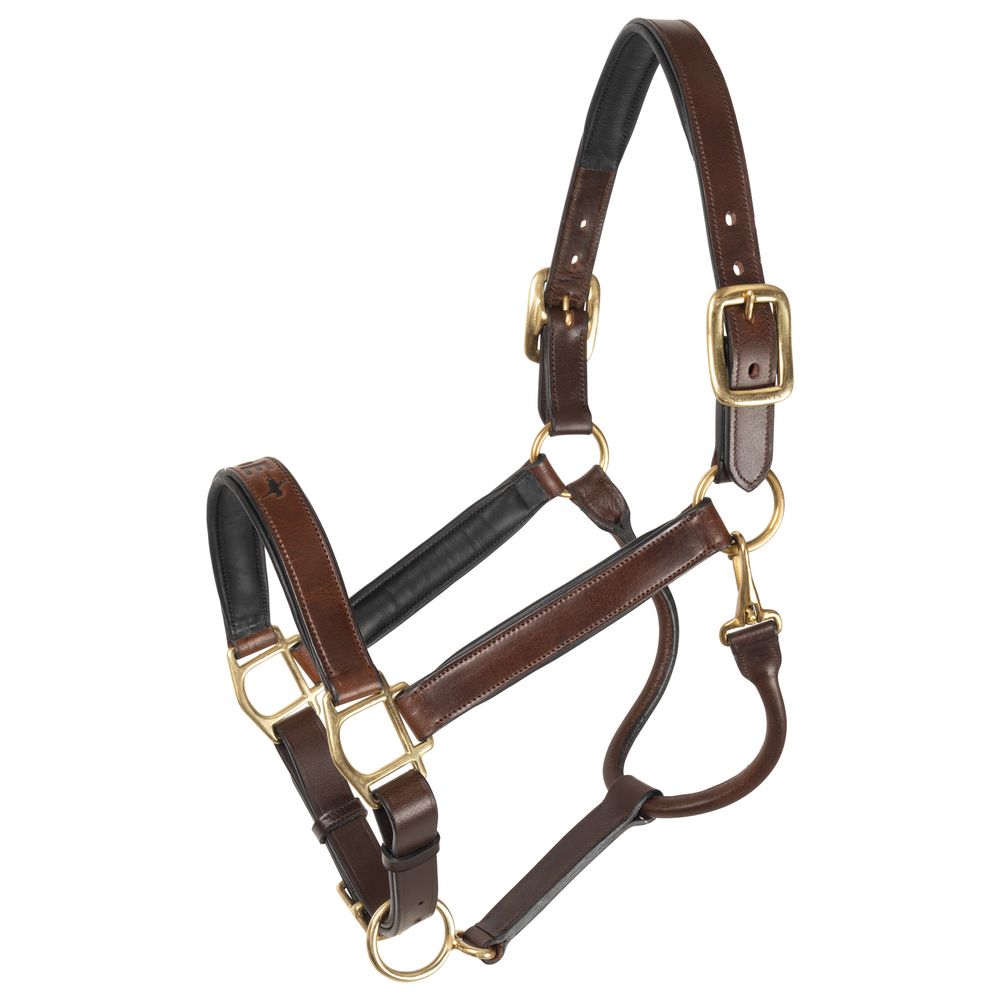 K3DE Padded Leather Halter
