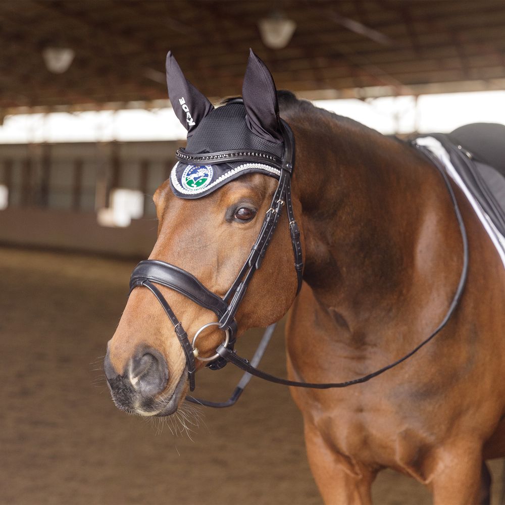 K3DE Satin Mesh Fly Veil with Crystals