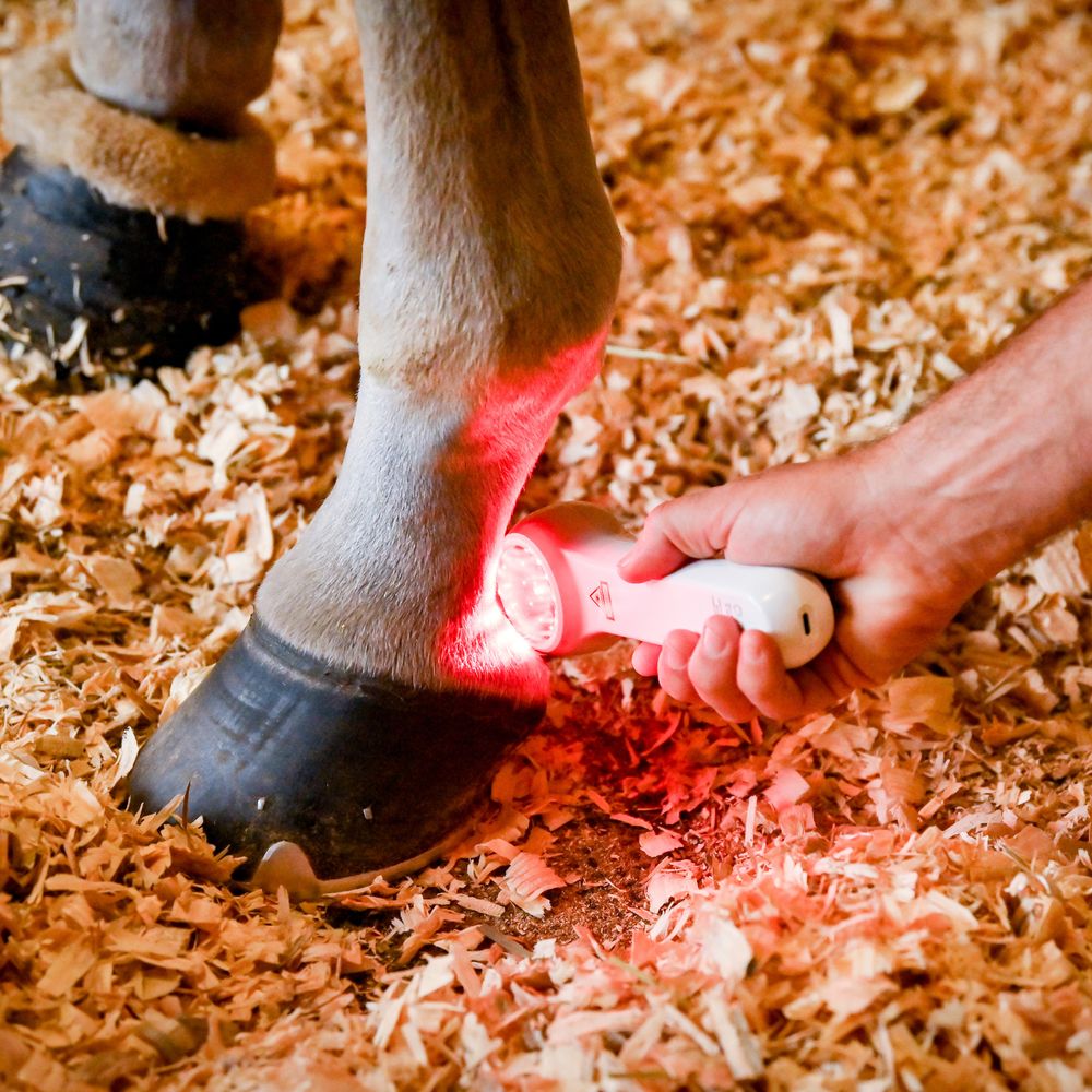 America Cryo Super Pulsed 3b Laser